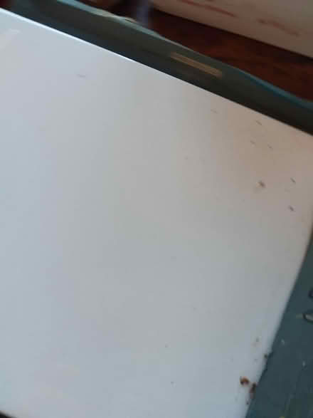 Photo of free 4 very large white wall tiles (Leigh on Sea) #1