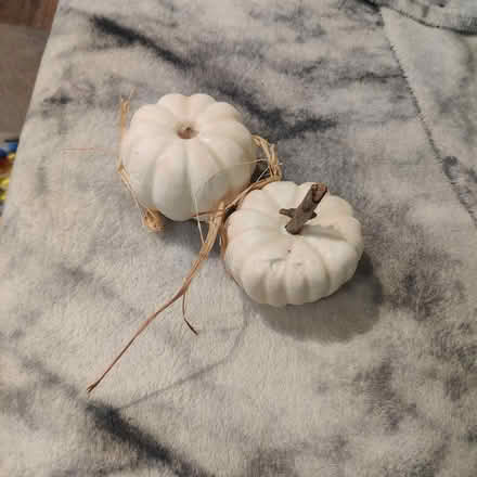 Photo of free Pumpkin decorations (B13 Billesley) #1