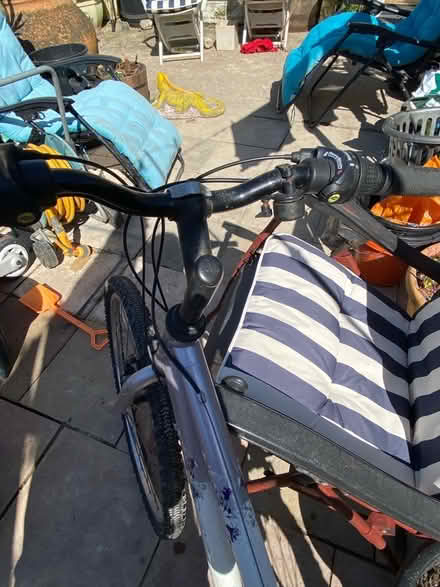 Photo of free Ladies bike (Newhaven BN9) #3