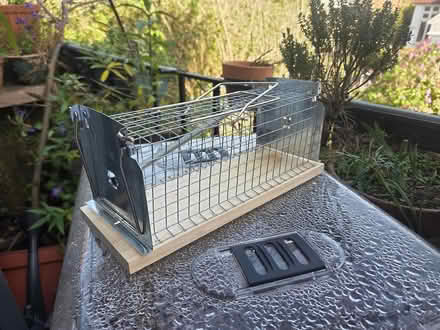 Photo of free Humane / Resusable Rat & Mouse Trap (Willesden Green Station) #1