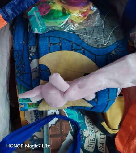 Photo of free Bags of toys and books (West bromwich) #2