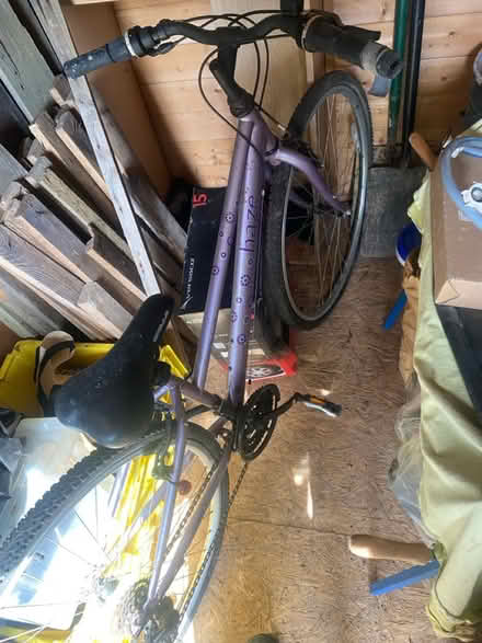 Photo of free Bicycle (Behind Horsham train station) #1