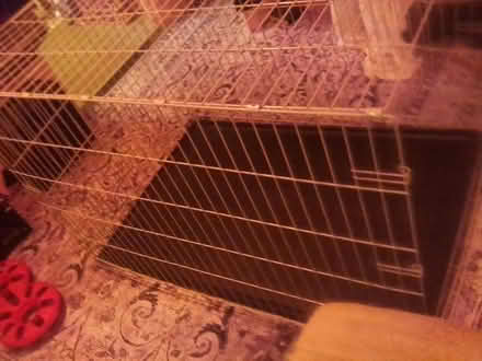 Photo of free Large Dog Cage (Carlton Hill BN2) #1