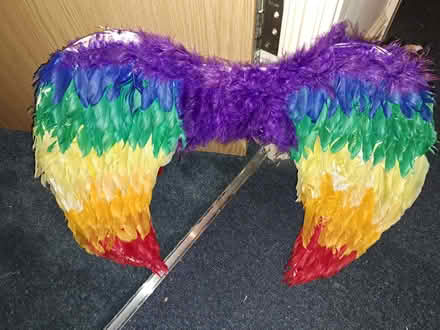 Photo of free Fluffy/feathered rainbow wings (Battle RG30) #1