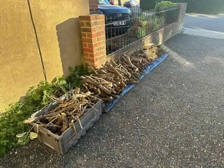 Photo of free Small tree logs (Kingston upon Thames, KT1) #1
