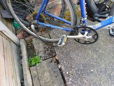 Photo of free Adult bikes (Latchford) #3
