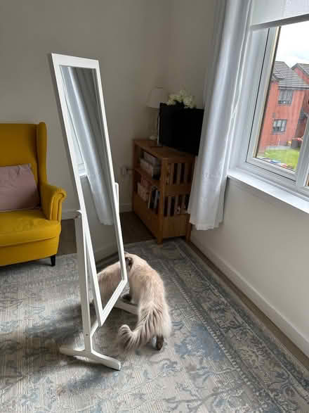 Photo of free Full length mirror (East Dunbartonshire G64) #1