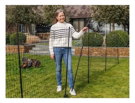 Photo of free chicken netting (Whittle Hill NE61) #3