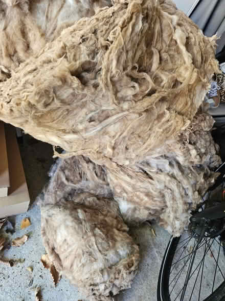 Photo of free Insolation Wool (Ox42LD) #1