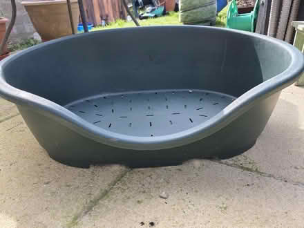 Photo of free Dog Basket (Southdown, BA2) #2