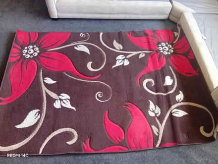 Photo of free Large rug (Moseley B13) #4