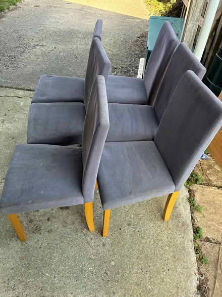 Photo of free Grey dining chairs (Calcot RG31) #2