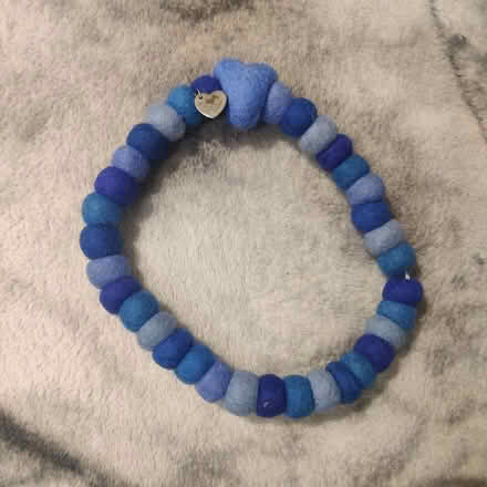 Photo of free Dog collar (B13 Billesley) #1