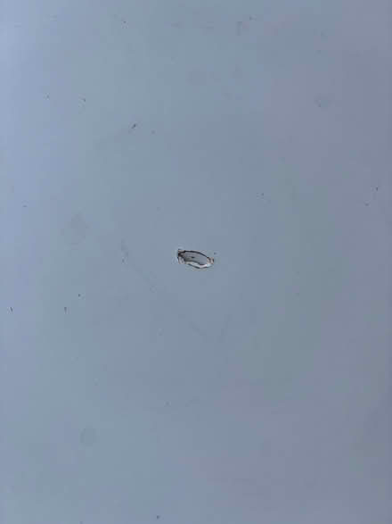 Photo of free White Ikea desk - BEARSTED (Bearsted ME14) #3