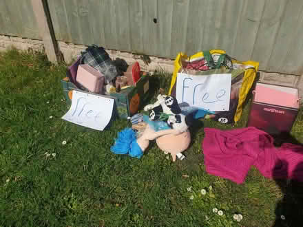 Photo of free Stuff... on the grass outside (Treuddyn CH7) #1