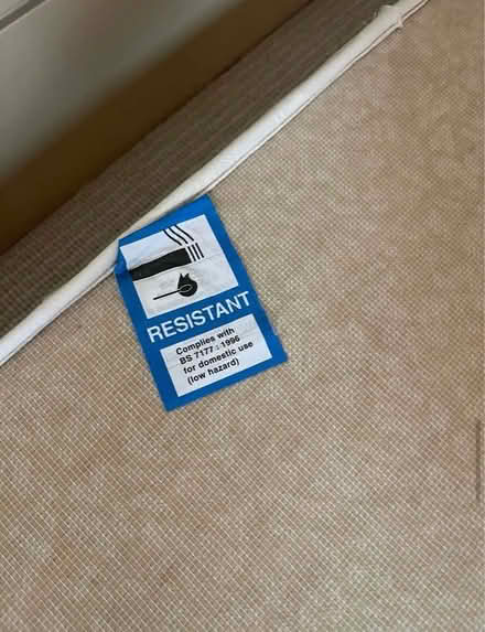 Photo of free Trundle bed (Speldhurst TN3) #3