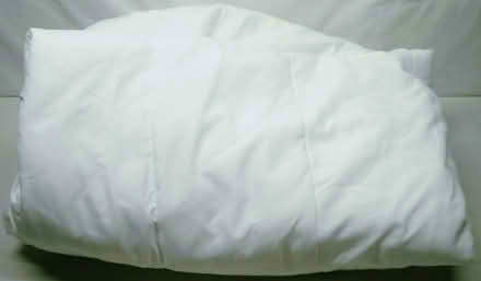 Photo of free IKEA Twin Mattress Pad (95822) #1