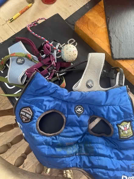 Photo of free Small dog stuff (Rathgar) #1