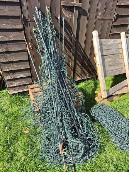 Photo of free chicken netting (Whittle Hill NE61) #2
