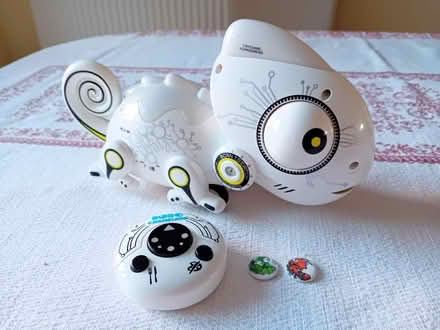 Photo of free Robo Chameleon (Easthampstead RG12) #1