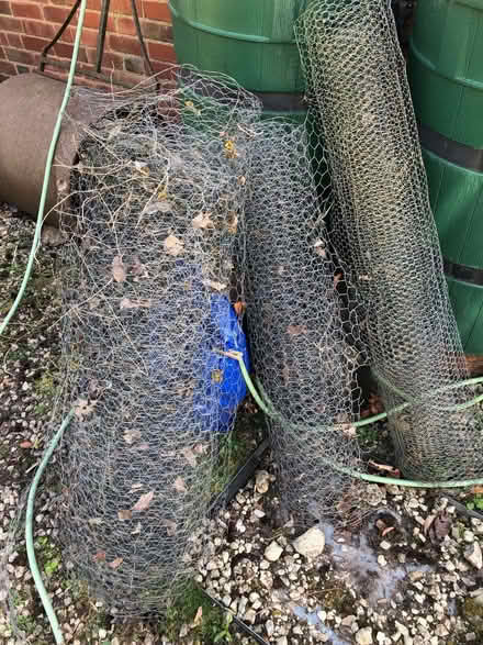 Photo of free Chicken Wire (New Bilton CV22) #1