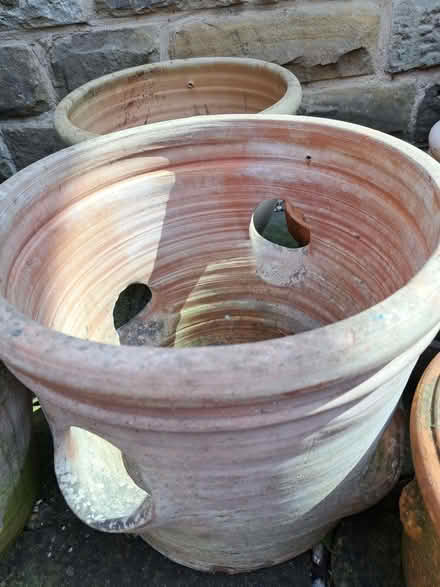 Photo of free Hanging Baskets and Pots (Dronfield S18) #2