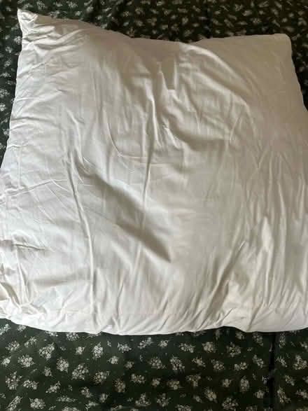 Photo of free Wedge pillow (Kendal) #1