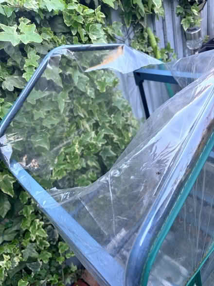 Photo of free Mini greenhouse SW2 (SW2) #2