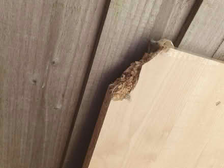 Photo of free Large piece of chipboard (Great Baddow CM2) #3