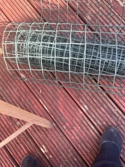 Photo of free Green plastic wire fencing (Bs30) #3