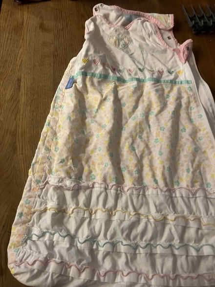 Photo of free Baby gro bag 0-6 months (New Hinksey OX1) #1