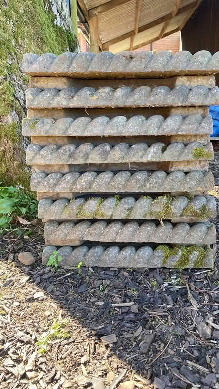 Photo of free Path/Garden Edging (Heath & Reach Area LU7) #2