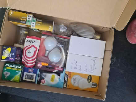 Photo of free Light bulbs (Dalston E8) #1