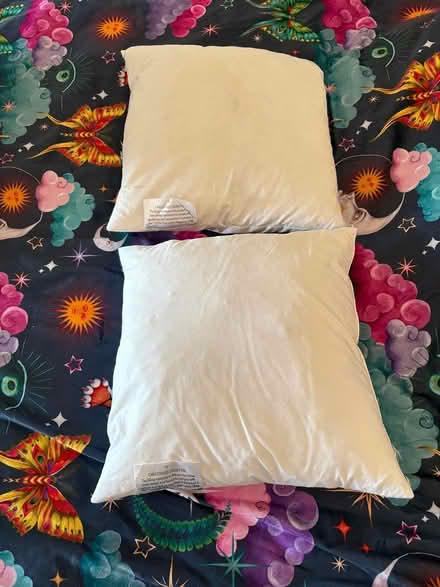 Photo of free 2 feather cushions unused (Scarborough YO12) #1
