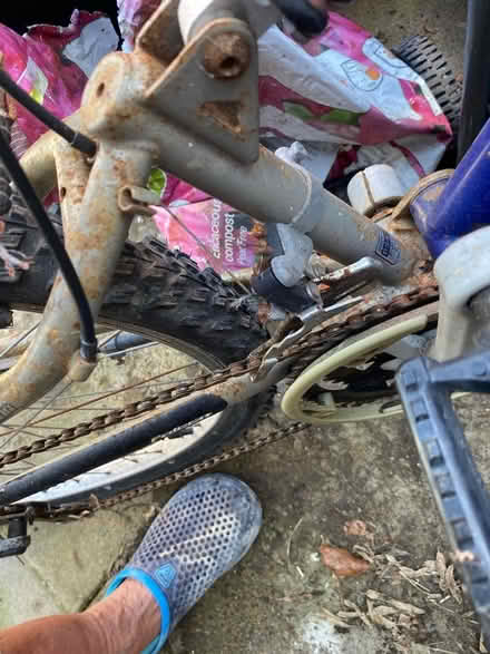 Photo of free Man’s Bike (Newhaven BN9) #3
