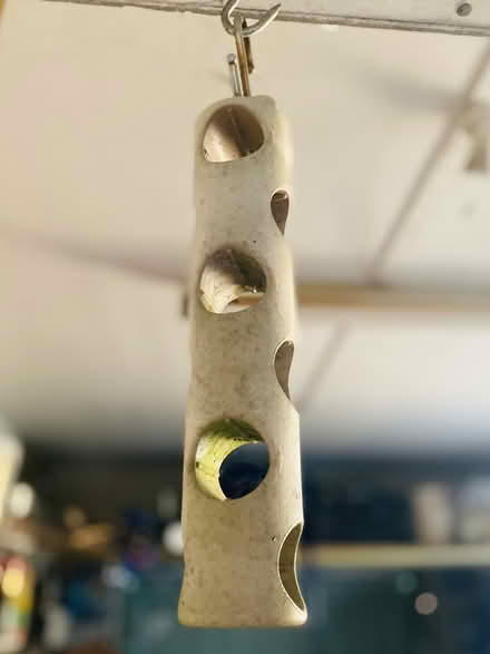 Photo of free 3 bird feeders (Cropston LE7) #1