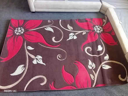 Photo of free Large rug (Moseley B13) #2