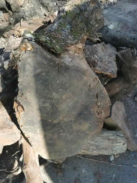Photo of free logs (Newbridge WV3) #3