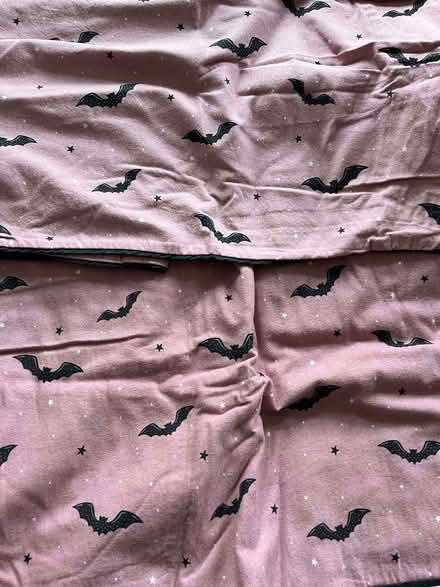 Photo of free Halloween double duvet set (BT6) #2