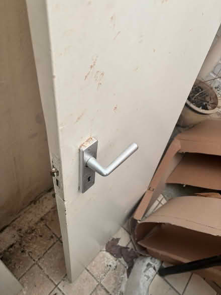 Photo of free Assorted internal doors (Pimlico SW1V) #4