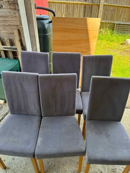 Photo of free Grey dining chairs (Calcot RG31) #1