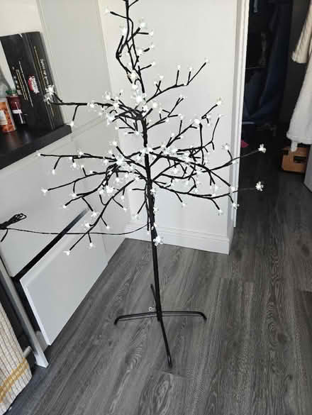 Photo of free Electric light decorative tree (Hill Head PO14) #1