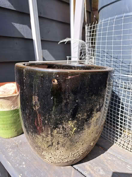 Photo of free Hanging Baskets and Pots (Dronfield S18) #1