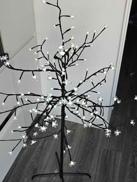 Photo of free Electric light decorative tree (Hill Head PO14) #2