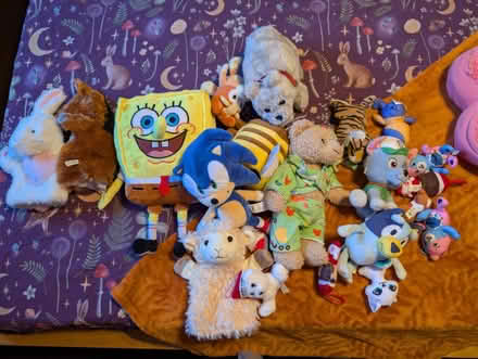 Photo of free Lots of toys and teddy's (CB22) #3