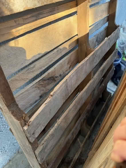 Photo of free 4 wooden pallets (North Hollywood) #2