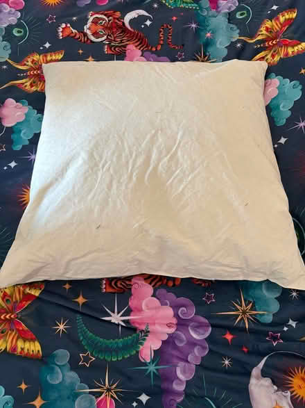 Photo of free Large Feather cushion unused (Scarborough YO12) #1