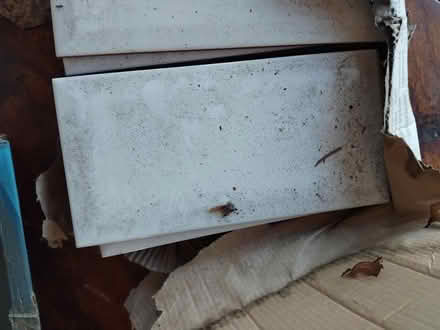 Photo of free 12 White tiles (Leigh on Sea) #3