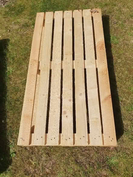 Photo of free Pallet tray (Colehill BH21) #1