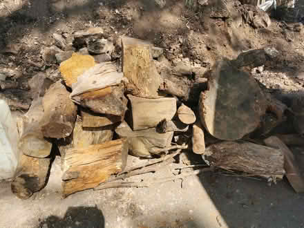 Photo of free logs (Newbridge WV3) #1